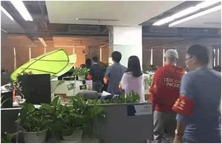 加班文化誰最強？段子手調(diào)侃鵝廠，華為默默組織文藝活動